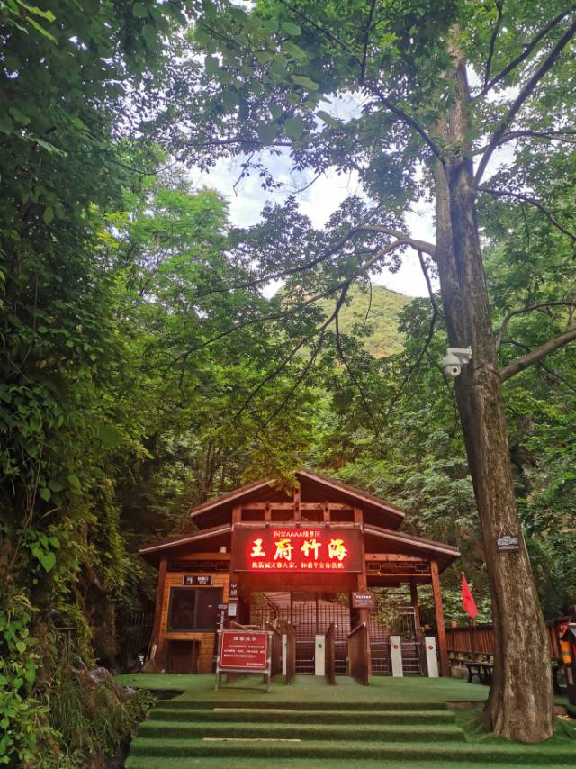 【"暑"你好看 眼遇拍一"夏"】茂林修竹 星空木屋旅游避暑佳地——王府