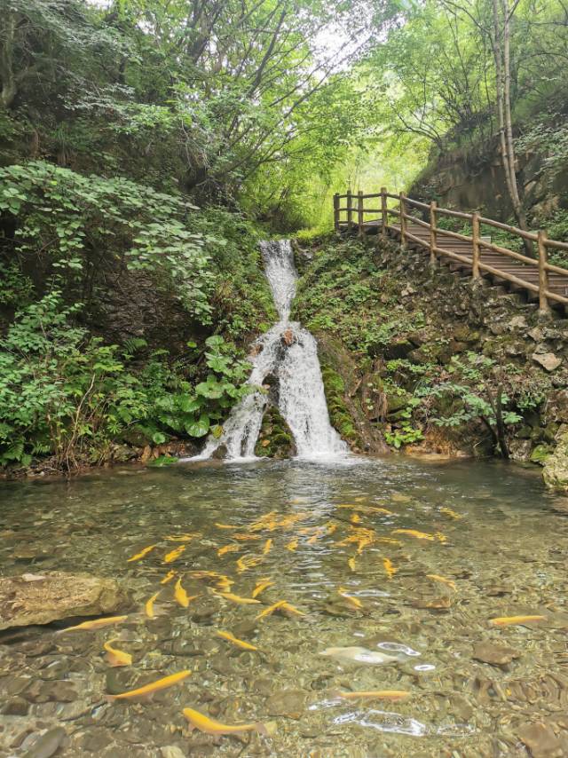 【"暑"你好看 眼遇拍一"夏"】茂林修竹 星空木屋旅游避暑佳地——王府