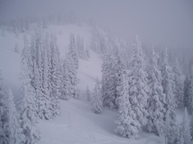 Blizzard