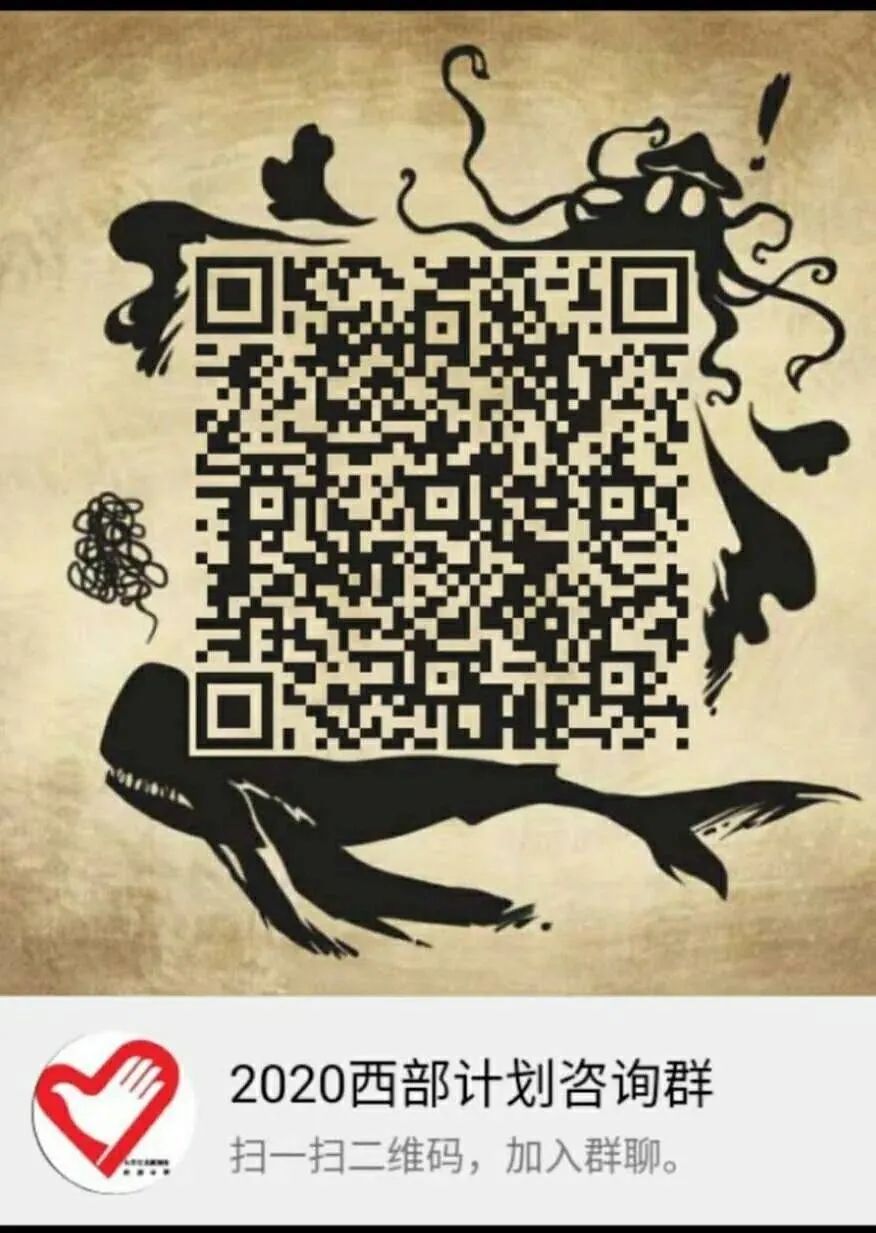 招募季2020西部计划招募来啦