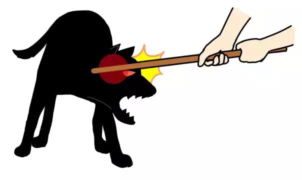 男童遭恶犬撕咬缝了50针让恶犬立刻松口请记住这一招