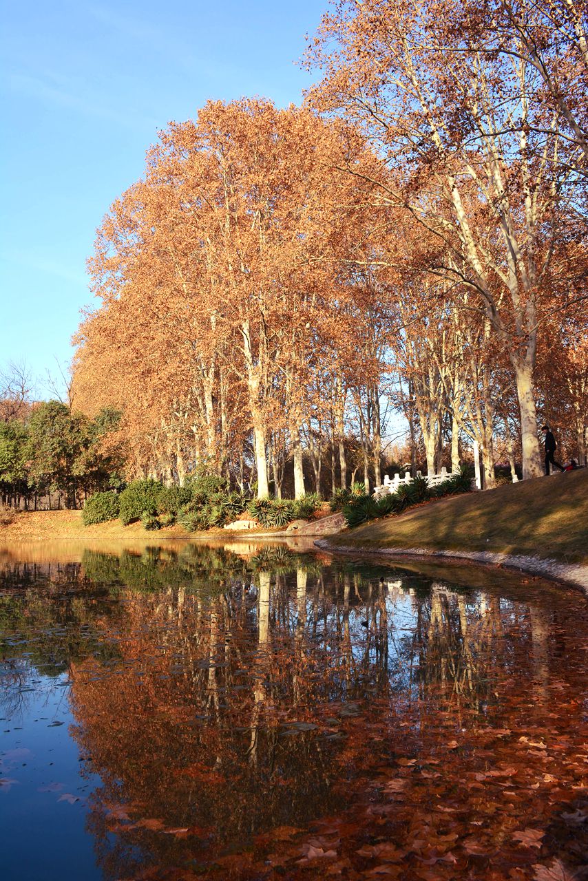 【冬日印象】 滞留心中的那段美 终究是要寻寻