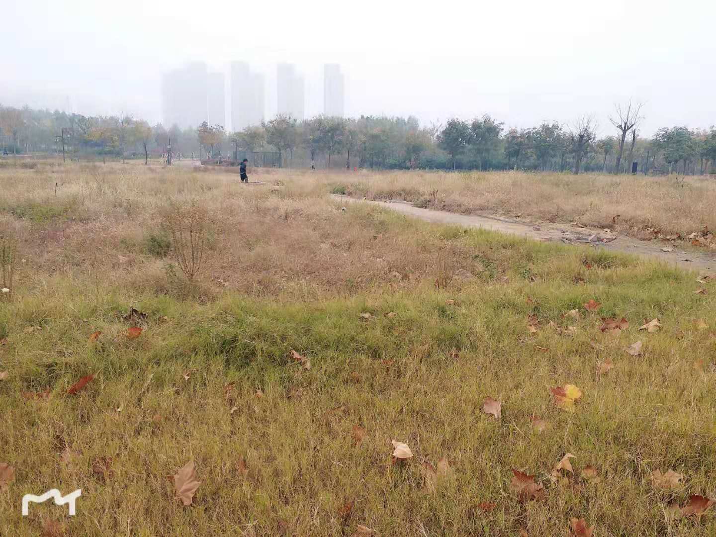 【短途游记】依山傍水的南环公园,休闲娱乐走