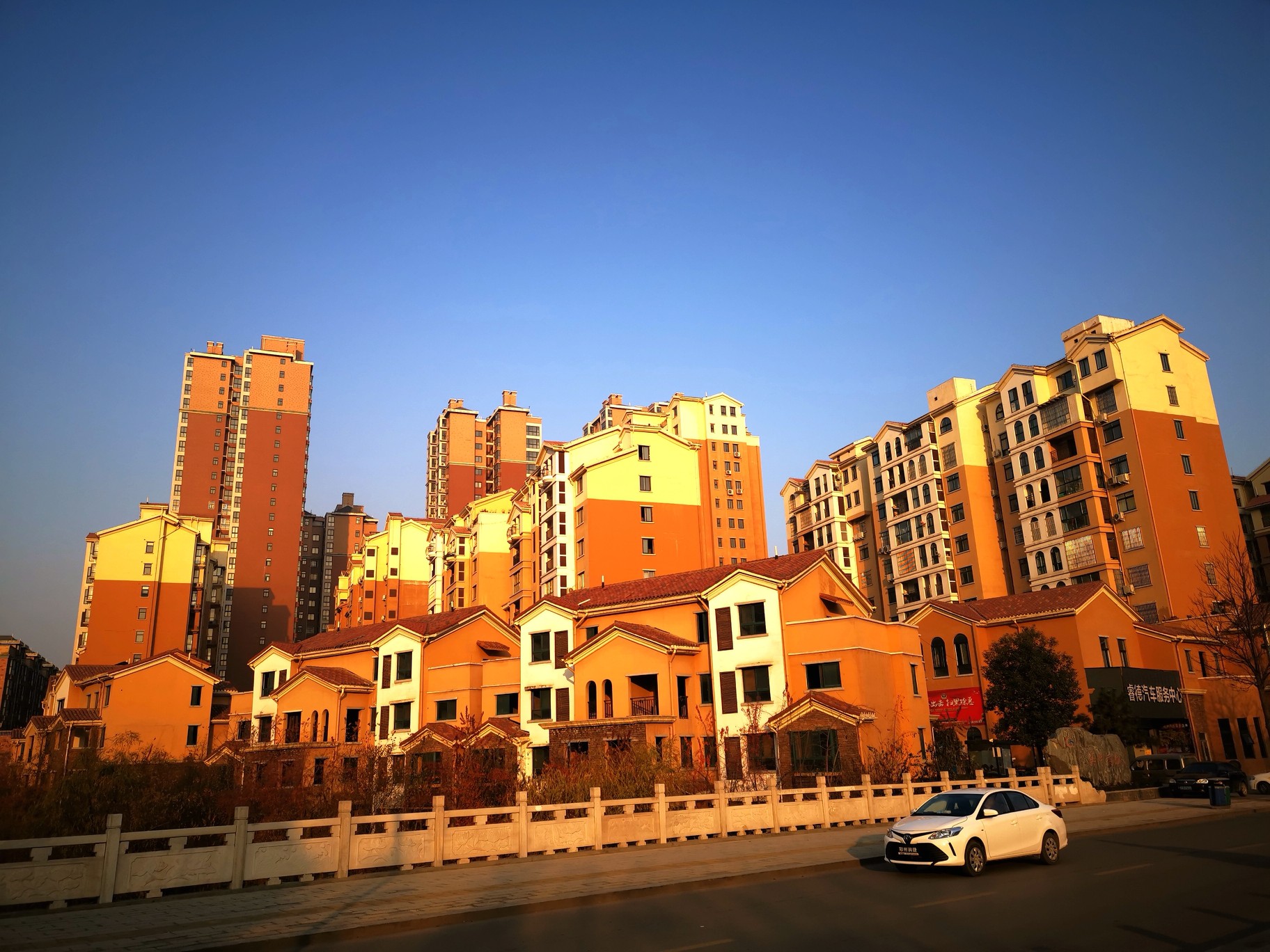 【拍客原创】随心所欲大街上,秋叶翩翩腊梅黄