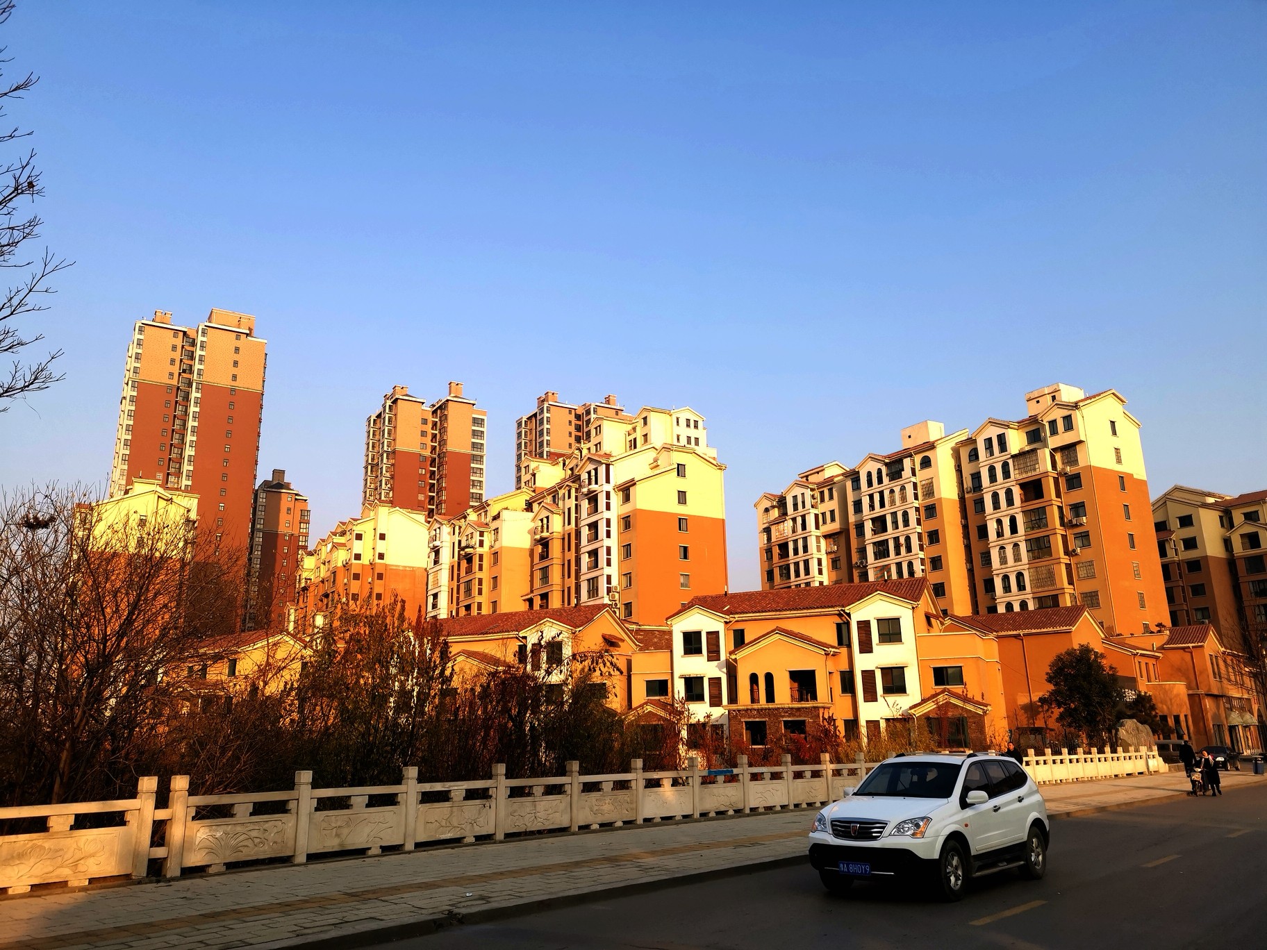 【拍客原创】随心所欲大街上,秋叶翩翩腊梅黄