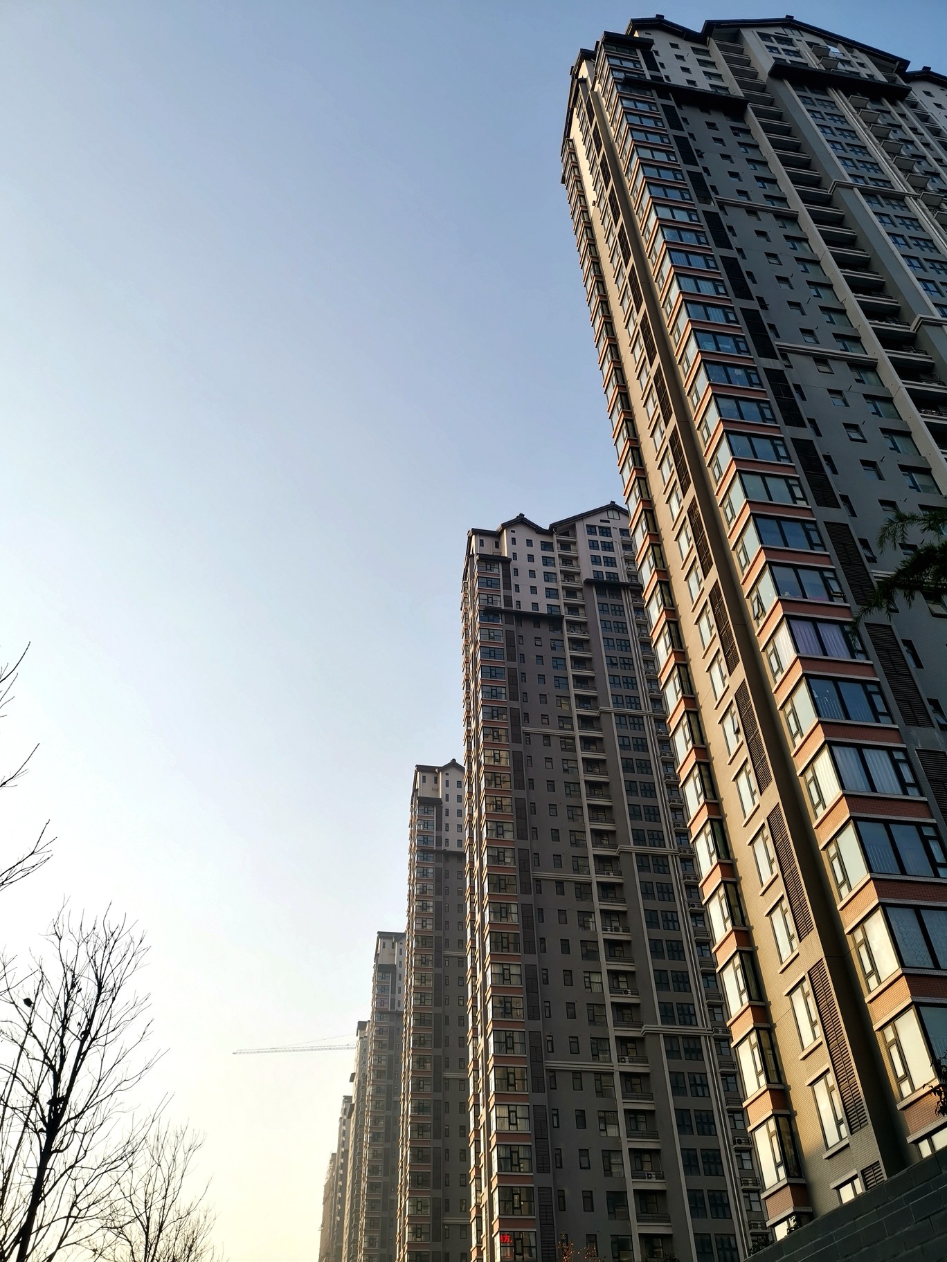 【拍客原创】随心所欲大街上,秋叶翩翩腊梅黄