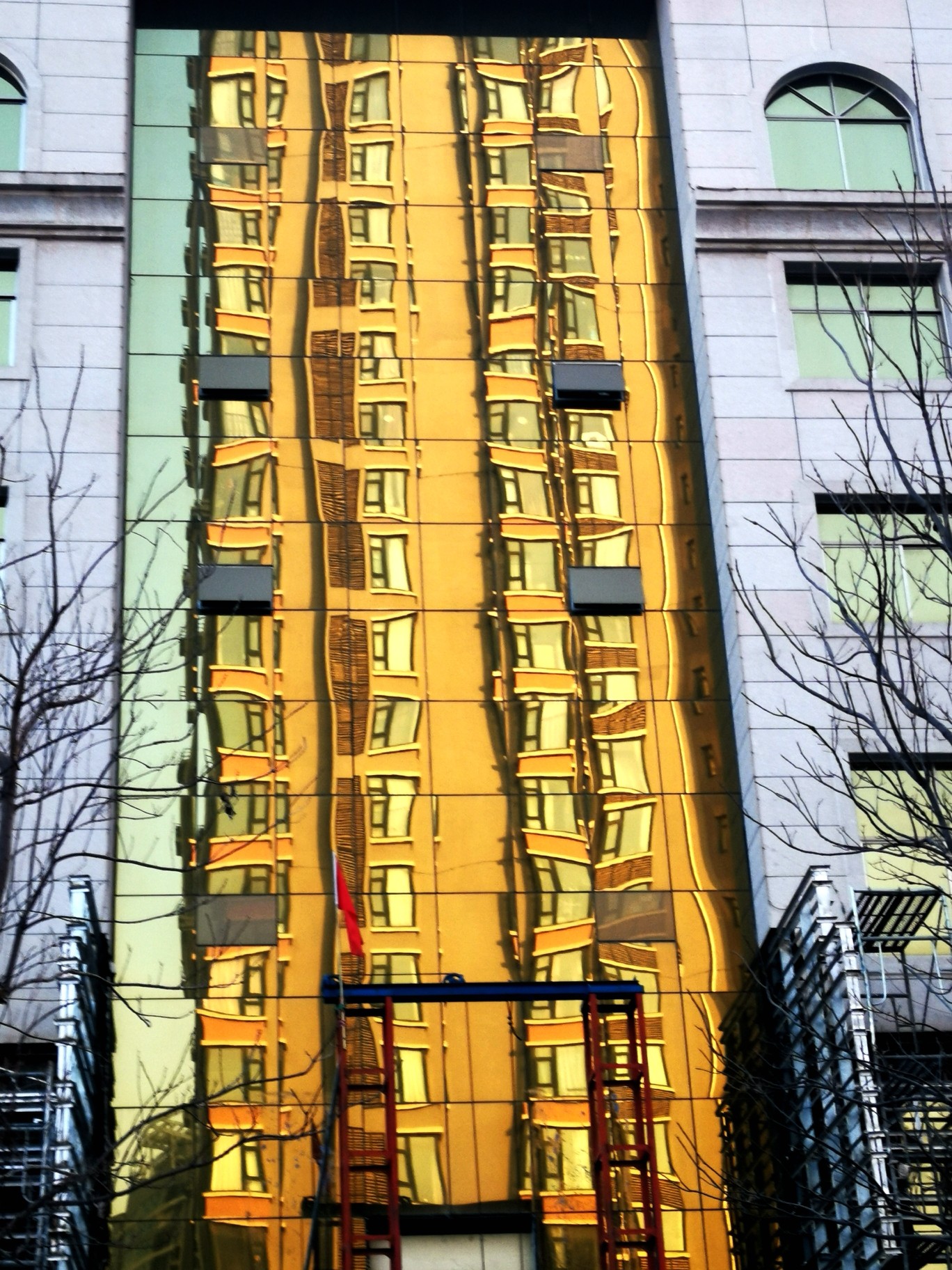 【拍客原创】随心所欲大街上,秋叶翩翩腊梅黄