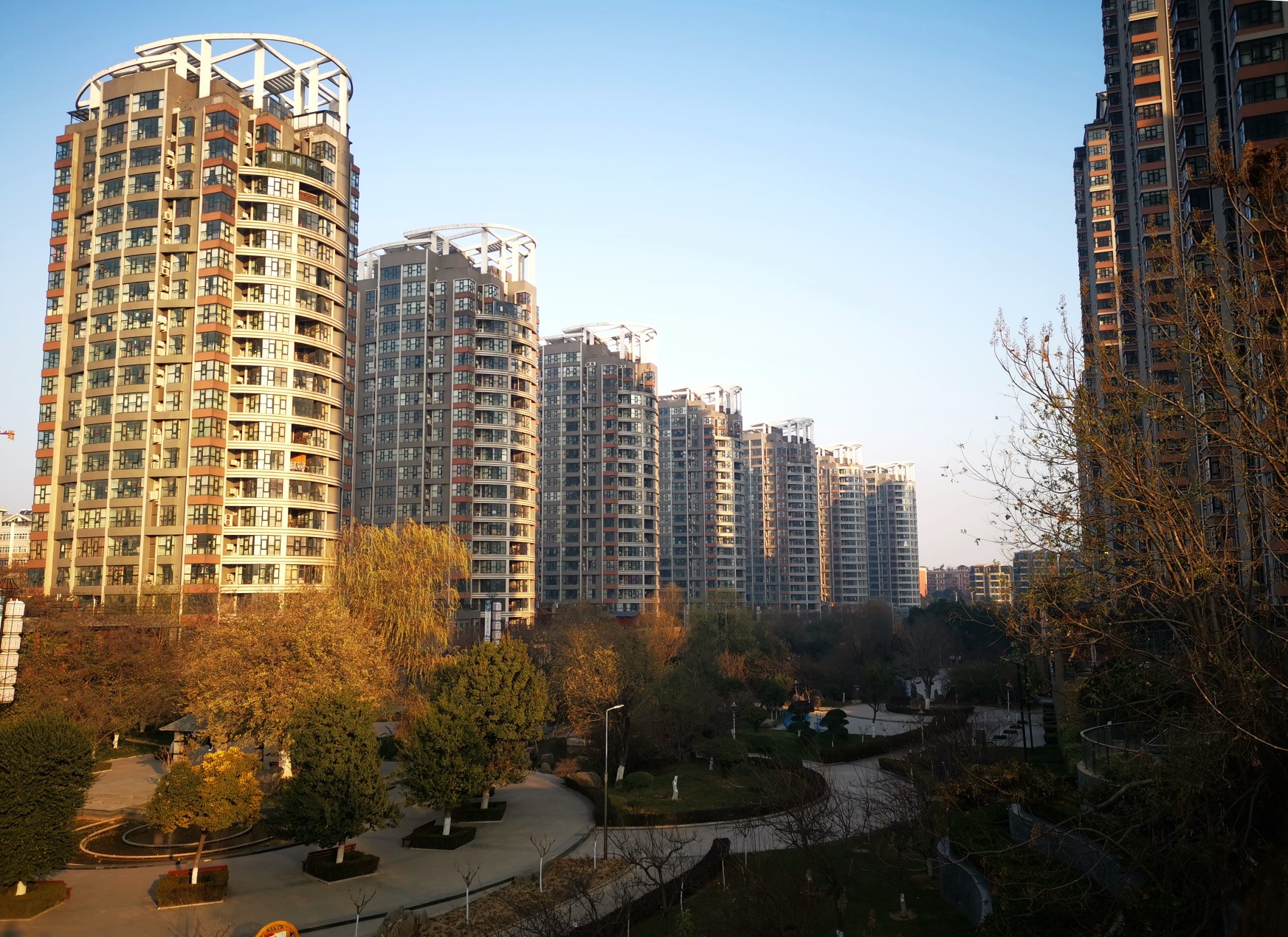 【拍客原创】随心所欲大街上,秋叶翩翩腊梅黄