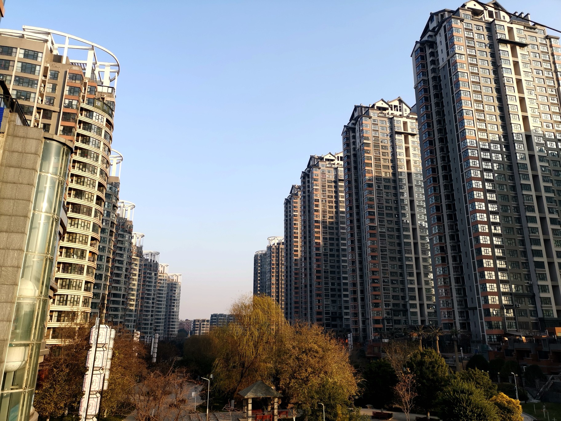 【拍客原创】随心所欲大街上,秋叶翩翩腊梅黄